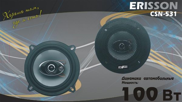 Акустическая система Erisson CSN-531 Erisson CSN-531. Технические характеристики CSN-531.
