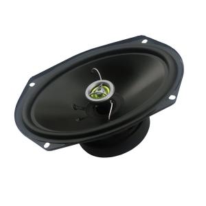 Акустическая система Fusion FBS-6920 Fusion FBS-6920. Технические характеристики FBS-6920.